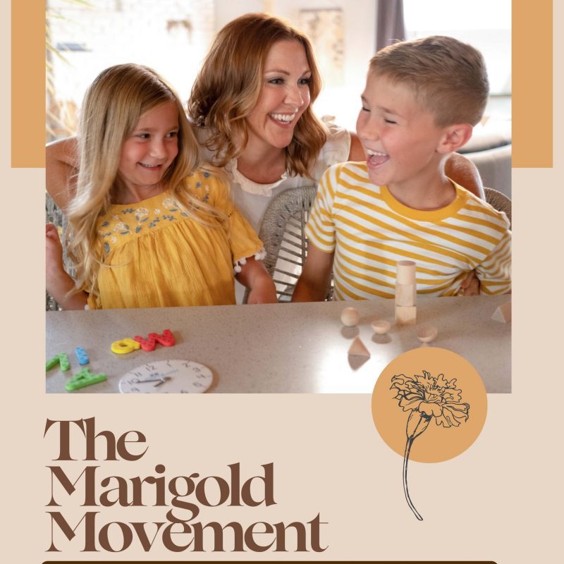 Education Design and Homeschool Philosophy Resource Kit